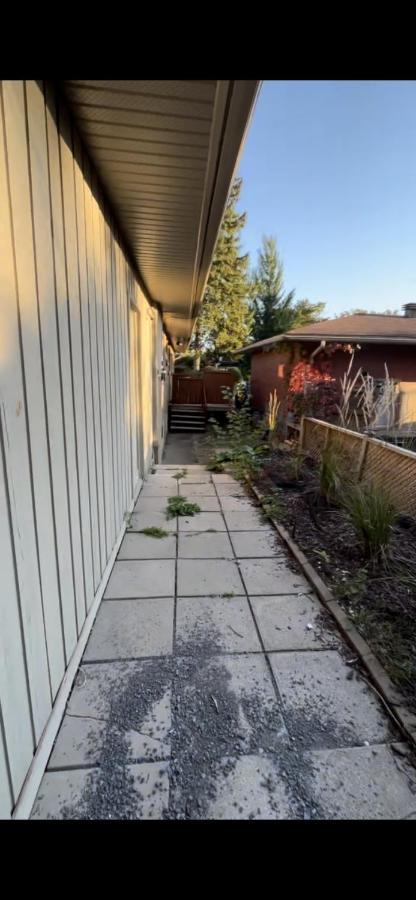 Spacious -walkout Basement- 4 Guests! -dedicated Workspace-no Pet! No Cooking! No Smoking! No Party! Ottawa